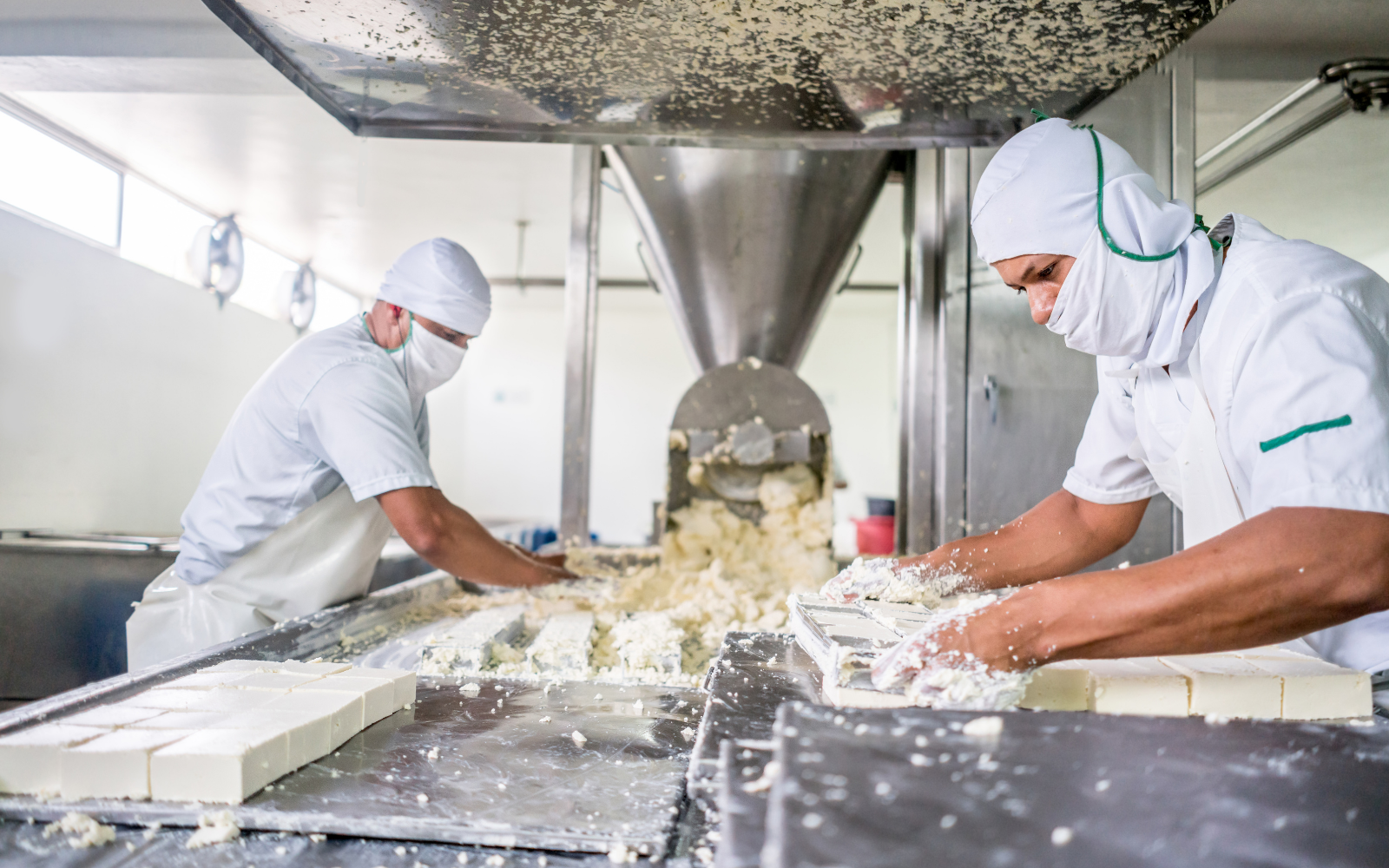 O passo a passo para transformar burocracia em oportunidade - Cia do Leite - Transformamos qualidade do leite e produtividade das fazendas